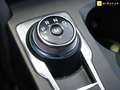 Ford Kuga 1.5 EcoBlue ST-Line FWD 120 Aut. Gris - thumbnail 8