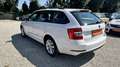 Skoda Octavia Octavia* Pickerl NEU* Service gepflegt* Weiß - thumbnail 7