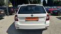 Skoda Octavia Octavia* Pickerl NEU* Service gepflegt* Weiß - thumbnail 6