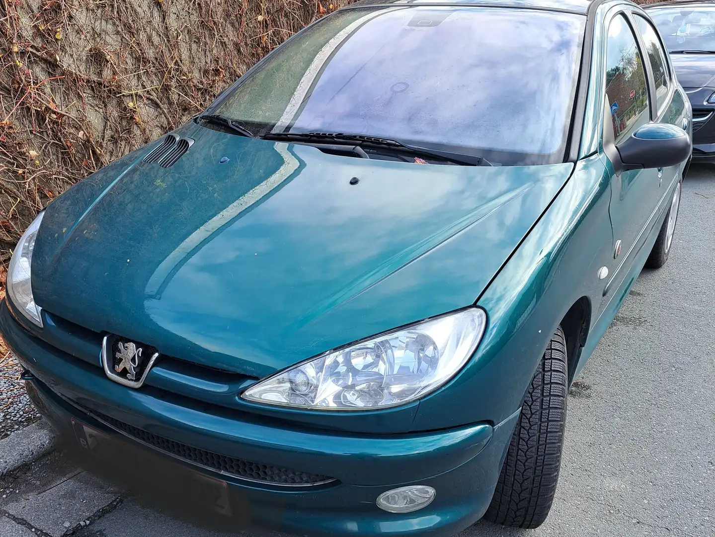 Peugeot 206 1.4i Roland Garros Groen - 2