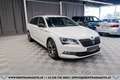 Skoda Superb Kombi 2,0 TDI 4x4 Sportline DSG*R-KAMERA*ACC*SE... Weiß - thumbnail 4