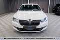 Skoda Superb Kombi 2,0 TDI 4x4 Sportline DSG*R-KAMERA*ACC*SE... Weiß - thumbnail 3