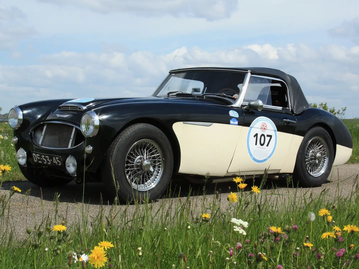 Austin Healey 3000 MK1 Black - 2