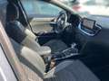 Kia ProCeed / pro_cee'd 1.5 T-GDI DCT GT LINE*Technologie-P.*PANO - thumbnail 14