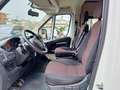 Fiat Ducato panorama 33 MH2 2.0 mjt 115cv Weiß - thumbnail 10