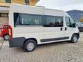 Fiat Ducato panorama 33 MH2 2.0 mjt 115cv Weiß - thumbnail 1