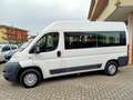 Fiat Ducato panorama 33 MH2 2.0 mjt 115cv Weiß - thumbnail 5