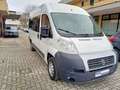 Fiat Ducato panorama 33 MH2 2.0 mjt 115cv Weiß - thumbnail 11