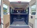 Fiat Ducato panorama 33 MH2 2.0 mjt 115cv Weiß - thumbnail 7
