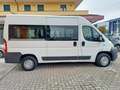 Fiat Ducato panorama 33 MH2 2.0 mjt 115cv Weiß - thumbnail 4