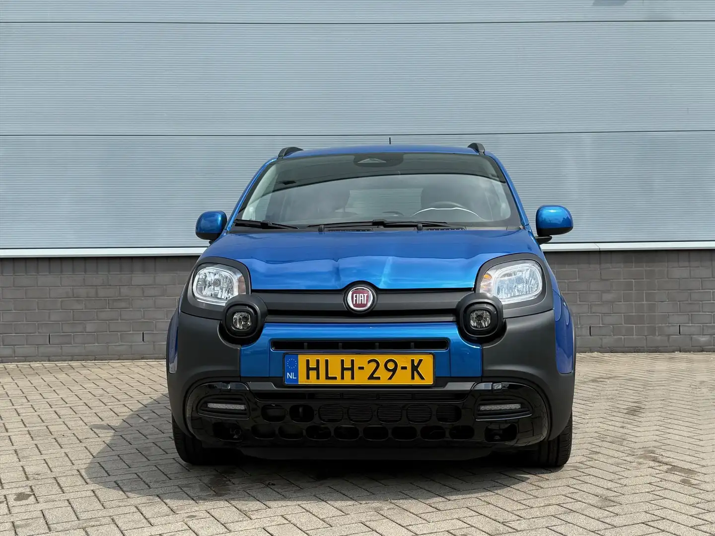 Fiat Panda 1.0 70pk Pandina | 5 Zits | Cruise Control | Apple Blau - 2