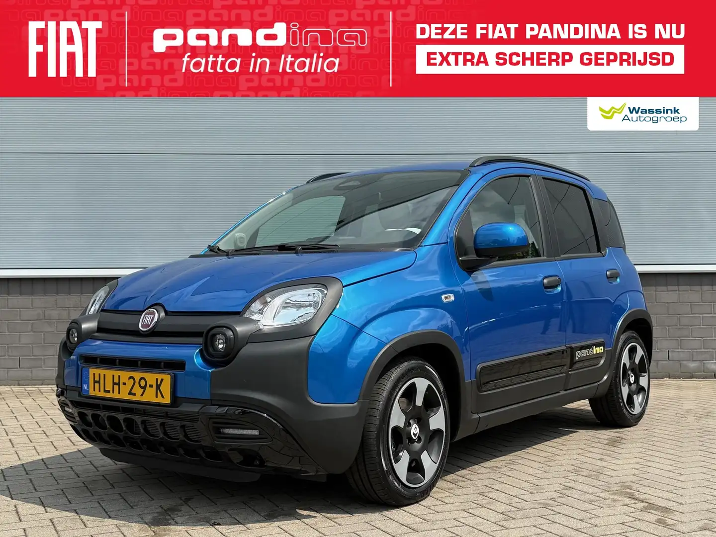 Fiat Panda 1.0 70pk Pandina | 5 Zits | Cruise Control | Apple Blau - 1