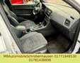 CUPRA Ateca Basis 4Drive - thumbnail 6
