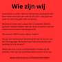 Volkswagen Taigo 1.0 TSI Life Business 110PK *NAVI*APP*ADAP*LM17* Grijs - thumbnail 38