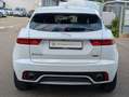 Jaguar E-Pace E-PACE R-Dynamic SE AWD *KAMERA*LEDER*NAVI*WI-PA Weiß - thumbnail 5
