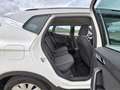 SEAT Arona 1.6TDI CR S&S Xcellence 95 Blanco - thumbnail 17