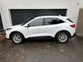 Ford Kuga Titanium*2.0EcoBlue*Aut*AWD*SHZ*NAVI*RFK*8fach*uvm Weiß - thumbnail 6