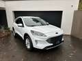 Ford Kuga Titanium*2.0EcoBlue*Aut*AWD*SHZ*NAVI*RFK*8fach*uvm Weiß - thumbnail 2