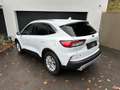 Ford Kuga Titanium*2.0EcoBlue*Aut*AWD*SHZ*NAVI*RFK*8fach*uvm Weiß - thumbnail 7