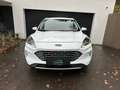 Ford Kuga Titanium*2.0EcoBlue*Aut*AWD*SHZ*NAVI*RFK*8fach*uvm Weiß - thumbnail 3