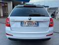 Skoda Octavia Bianco - thumbnail 6