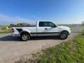 Ford F 150 VOLLEDIG GEREVISEERD Wit - thumbnail 7