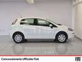Fiat Punto 5p 1.4 natural power street 70cv e6 Blanc - thumbnail 6