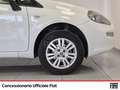 Fiat Punto 5p 1.4 natural power street 70cv e6 Blanc - thumbnail 21