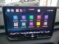 CUPRA Terramar TERRAMAR 2.0 TSI DSG 4DRIVE AHZV NAVI SITZH. Gris - thumbnail 23