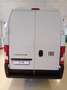 Fiat Ducato Serie 2 Maxi Furgone Lastrato 35q L4 H3 180 Weiß - thumbnail 8