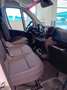 Fiat Ducato Serie 2 Maxi Furgone Lastrato 35q L4 H3 180 Weiß - thumbnail 13
