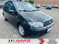 Fiat Punto Lim. 1.2 Schaltgetriebe - 1.2 8V Dynamic Noir - thumbnail 24