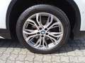BMW X1 sDrive 18 d Sport Line HUD AHK-abnehmbar Navi Memo Bianco - thumbnail 15