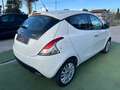 Lancia Ypsilon 1.2*8V*GOLD*PDC*MP3*CITY*NEOPATENTATI* Wit - thumbnail 4