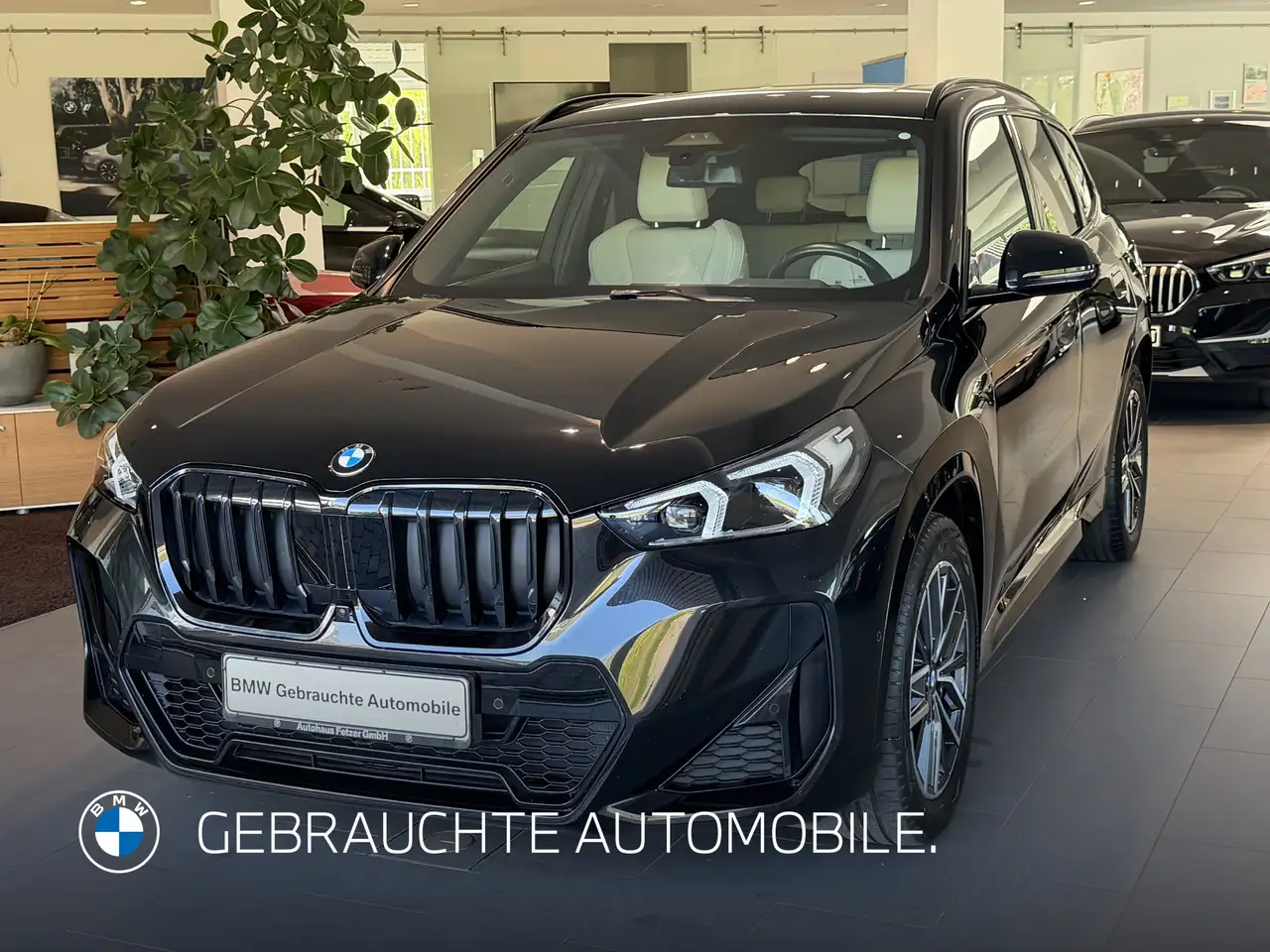 BMW X1 sDrive20i (ab 2022) M Sportpaket Head-Up DAB