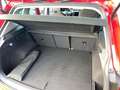 Volkswagen Tiguan Move TSi Standheizung/ LED-Matrixscheinwerfer Rot - thumbnail 17