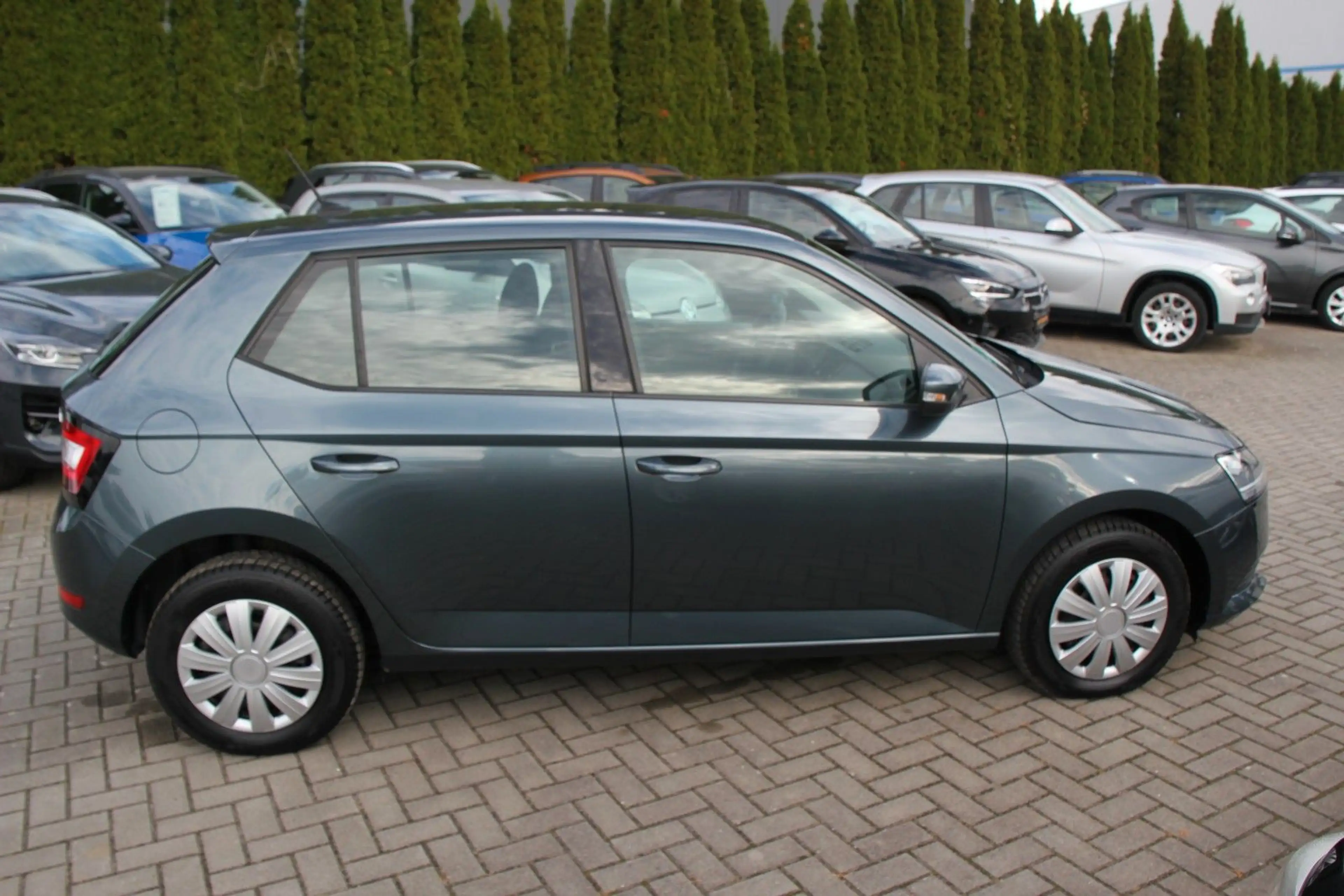 Skoda Fabia Cool Plus — photo 5