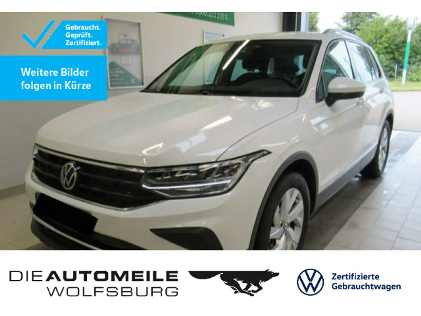 Volkswagen Tiguan 1.5 TSI United Rückfahrkam/AHK/App-Connec Weiß - 1