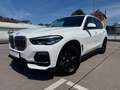BMW X5 xDrive 30 d AHK/STOP&GO/HUD/LED/LEDER Weiß - thumbnail 1