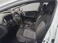 Kia Ceed / cee'd *TÜV NEU* Wit - thumbnail 9