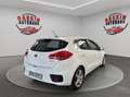 Kia Ceed / cee'd *TÜV NEU* Wit - thumbnail 6