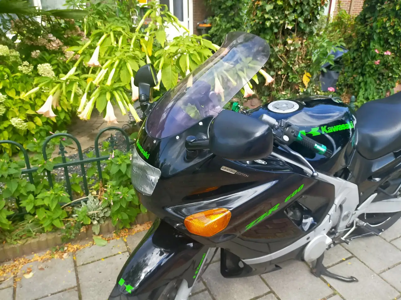 Kawasaki ZZR 600