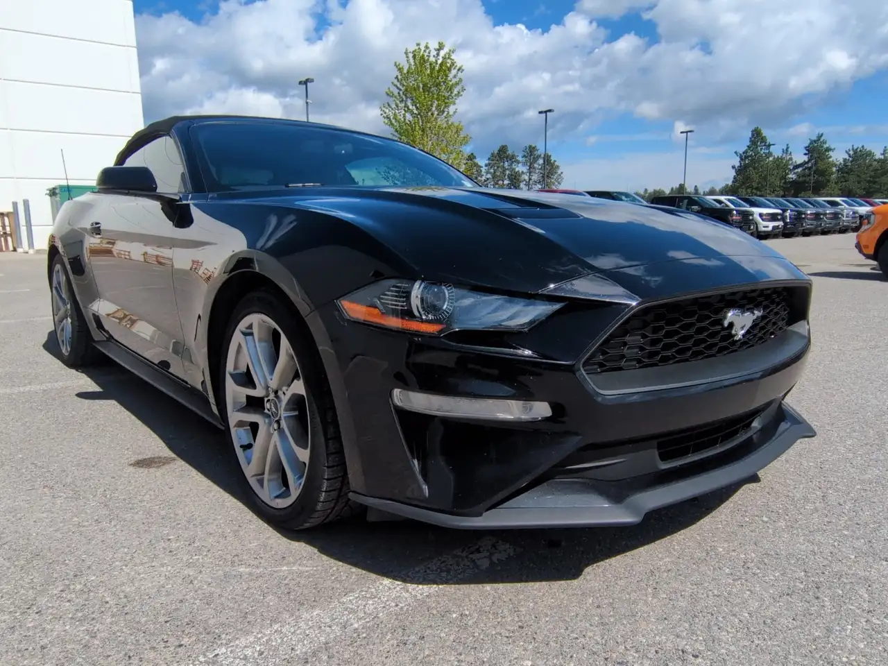 2019 Ford Mustang