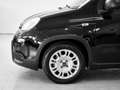 Fiat Panda Panda III 2021 1.0 firefly hybrid s - thumbnail 16