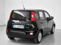 Fiat Panda Panda III 2021 1.0 firefly hybrid s - thumbnail 6