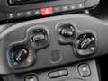 Fiat Panda Panda III 2021 1.0 firefly hybrid s - thumbnail 11