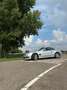 Mercedes-Benz SL 55 AMG SL 55 AMG Zilver - thumbnail 19
