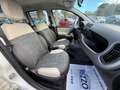 Fiat Panda 1.3MJT 95CV CROSS 4X4 PELLE CLIMA Bianco - thumbnail 14