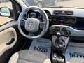 Fiat Panda 1.3MJT 95CV CROSS 4X4 PELLE CLIMA Bianco - thumbnail 11
