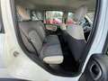 Fiat Panda 1.3MJT 95CV CROSS 4X4 PELLE CLIMA Bianco - thumbnail 13